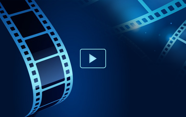 Triển khai cài đặt và sử dụng ứng dụng VssID - Bảo hiểm xã hội số trên địa bàn Thành phố Hồ Chí Minh